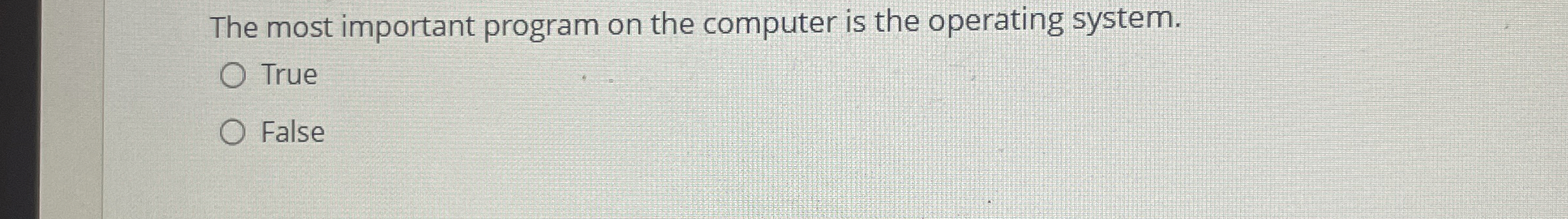 The most important program on the computer is the