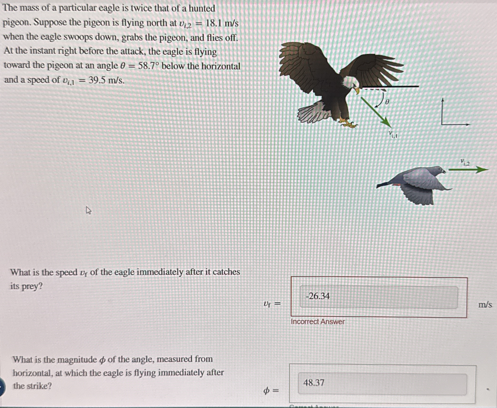 The mass of a particular eagle is twice that of a