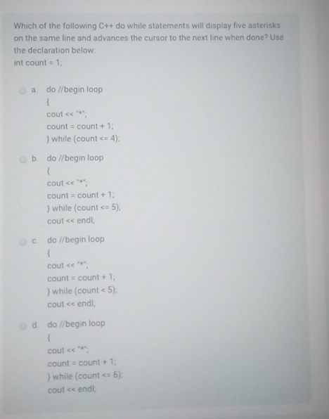 Which of the following C + + do while statements