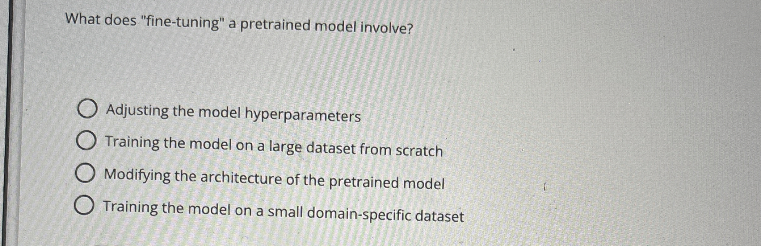 What does "fine - tuning" a pretrained model