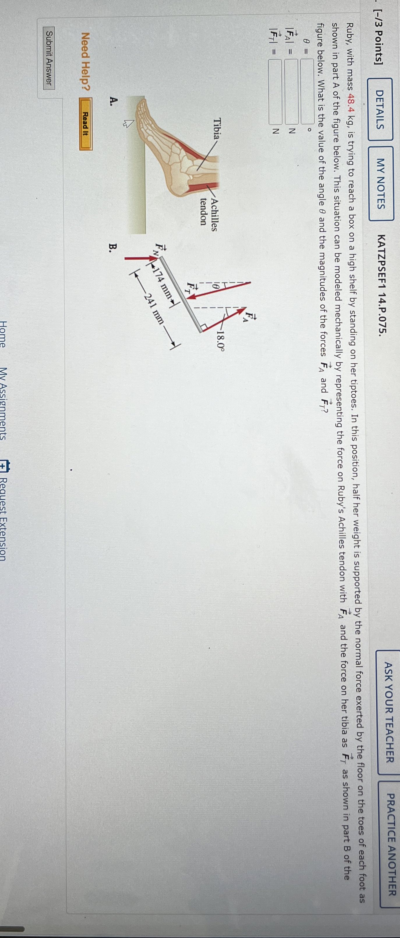 [ - / 3 Points ] KATZPSEF 1 1 4 . P . 0 7 5 .