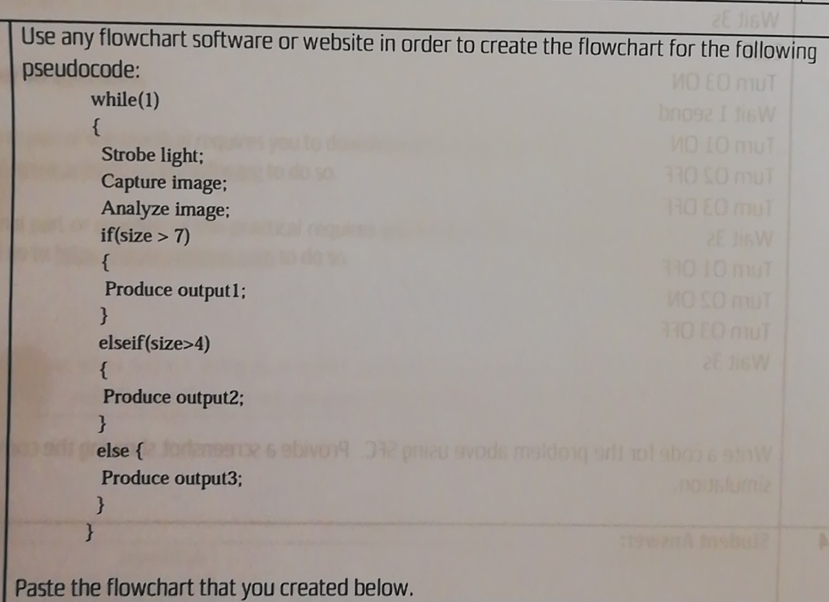 Paste the flowchart that you created below.