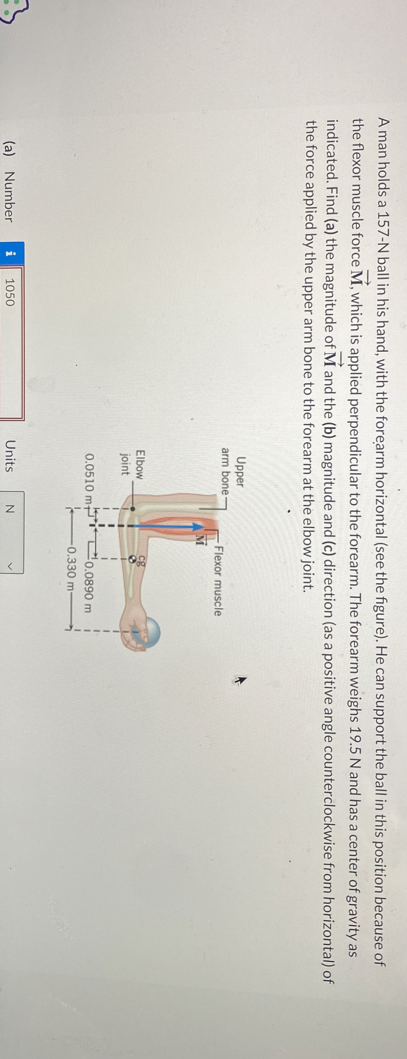 A man holds a 1 5 7 - N ball in his hand, with