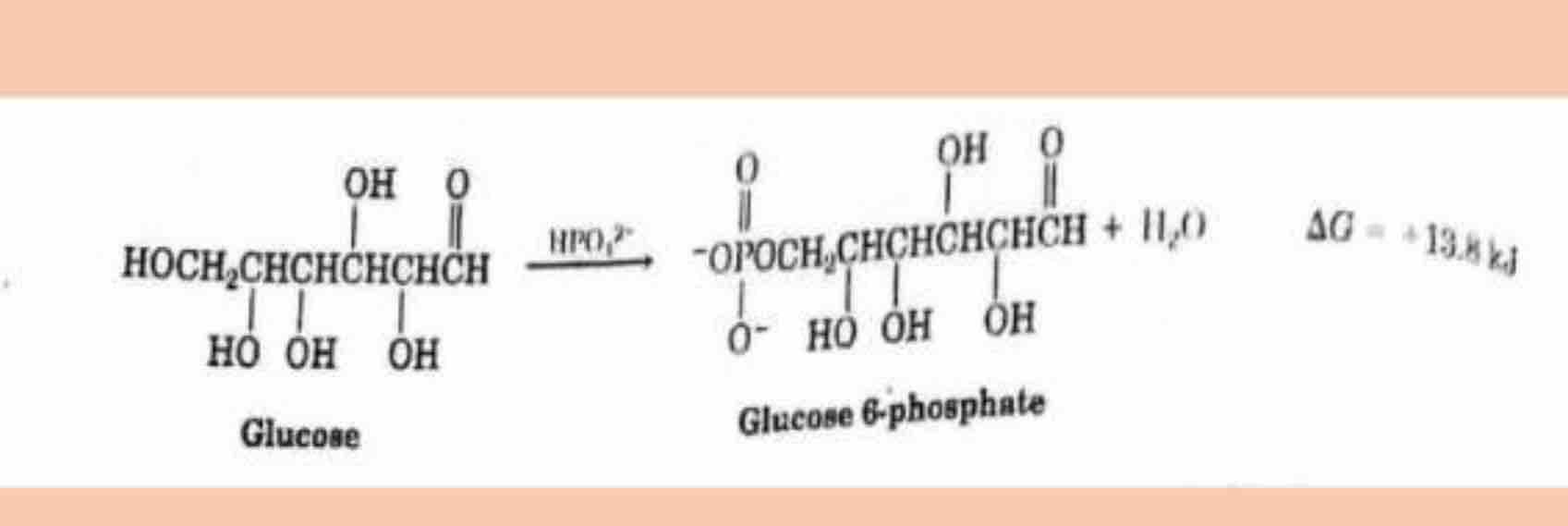 code class = "asciimath"  style="width: 25%; display: block; margin-left: 0; margin-right: auto;"></a></div>                                                                                    </h2>
                                                                            </div>
                                </div>
                                                                <div class="related-question-statment col-md-12 col-lg-12">
                                    <div class="no-padding question-statement-complete-placement">
                                                                                <h2 class="small_h2">
                                            <a href="/study-help/questions/x-y-z-b-a-r-26565281"
                                               class="related-question-statement-styling">( x y z ) * b a r ( ( x y z ) ) = 1 when x , y and z are Boolean variables. True or False</a><div class="questionHolder"><a href="/study-help/questions/x-y-z-b-a-r-26565281"><img src="https://dsd5zvtm8ll6.cloudfront.net/si.experts.images/questions/2025/01/679954fc1266d_011679954fbb0a8d.jpg" alt="( x y z ) * b a r ( ( x y z ) ) = 1 when x , y" class="sc-sj7gtn-1 fkZXya" style="width: 25%; display: block; margin-left: 0; margin-right: auto;"></a></div>                                                                                    </h2>
                                                                            </div>
                                </div>
                                                                <div class="related-question-statment col-md-12 col-lg-12">
                                    <div class="no-padding question-statement-complete-placement">
                                                                                <h2 class="small_h2">
                                            <a href="/study-help/questions/itse-1-3-5-9-pair-programming-project-create-a-26565282"
                                               class="related-question-statement-styling">ITSE 1 3 5 9 Pair Programming Project Create a self service check out program in python Assume the purchases can up to $ 2 5 . Your program will print a "Welcome" message to user to start. Your program generates a random number between 0 . 0 1 and 2 5 . 0 0 and displays the number as the amount to be paid. Your program will determine the change</a><div class="questionHolder"><a href="/study-help/questions/itse-1-3-5-9-pair-programming-project-create-a-26565282"><img src="https://dsd5zvtm8ll6.cloudfront.net/si.experts.images/questions/2025/01/679954fc058a3_011679954fb77336.jpg" alt="ITSE 1 3 5 9 Pair Programming Project Create a" class="sc-sj7gtn-1 fkZXya" style="width: 25%; display: block; margin-left: 0; margin-right: auto;"></a></div>                                                                                    </h2>
                                                                            </div>
                                </div>
                                                                <div class="related-question-statment col-md-12 col-lg-12">
                                    <div class="no-padding question-statement-complete-placement">
                                                                                <h2 class="small_h2">
                                            <a href="/study-help/questions/which-tab-is-the-database-documentary-option-under-help-database-26565283"
                                               class="related-question-statement-styling">Which tab is the database documentary option under help database tools external data or home</a>                                                                                    </h2>
                                                                            </div>
                                </div>
                                                                <div class="related-question-statment col-md-12 col-lg-12">
                                    <div class="no-padding question-statement-complete-placement">
                                                                                <h2 class="small_h2">
                                            <a href="/study-help/questions/which-of-the-following-architectures-is-most-commonly-used-for-26565286"
                                               class="related-question-statement-styling">Which of the following architectures is most commonly used for sequence - to - sequence tasks, such as text summarization or machine translation? A . Gated Recurrent Unit ( GRU ) B . Convolutional Neural Network ( CNN ) C . Transformer D . Long Short - Term Memory ( LSTM )</a>                                                                                    </h2>
                                                                            </div>
                                </div>
                                                                <div class="related-question-statment col-md-12 col-lg-12">
                                    <div class="no-padding question-statement-complete-placement">
                                                                                <h2 class="small_h2">
                                            <a href="/study-help/questions/question-4-2-3-points-insert-the-following-26565289"
                                               class="related-question-statement-styling">Question 4 2 ( 3 points ) Insert the following key values one by one into an empty AVL tree: 3 4 4 5 6 5 5 5 5 0 5 2 , and perform rotations as needed to restore AVL tree during the process. After the tree is built, show the list of nodes visited when post order traversal is used.</a><div class="questionHolder"><a href="/study-help/questions/question-4-2-3-points-insert-the-following-26565289"><img src="https://dsd5zvtm8ll6.cloudfront.net/si.experts.images/questions/2025/01/679954fccc229_012679954fc60c25.jpg" alt="Question 4 2 ( 3 points ) Insert the following" class="sc-sj7gtn-1 fkZXya" style="width: 25%; display: block; margin-left: 0; margin-right: auto;"></a></div>                                                                                    </h2>
                                                                            </div>
                                </div>
                                                                <div class="related-question-statment col-md-12 col-lg-12">
                                    <div class="no-padding question-statement-complete-placement">
                                                                                <h2 class="small_h2">
                                            <a href="/study-help/questions/you-are-hiring-a-technology-architect-and-need-to-provide-26565290"
                                               class="related-question-statement-styling">You are hiring a technology architect and need to provide the recruiter with a onesentence role description. Which of the following is the best description? This role is responsible for higher - level aspects of application design and development. This role is responsible for analyzing business processes and strategies. This role is responsible</a><div class="questionHolder"><a href="/study-help/questions/you-are-hiring-a-technology-architect-and-need-to-provide-26565290"><img src="https://dsd5zvtm8ll6.cloudfront.net/si.experts.images/questions/2025/01/679954fcc086c_011679954fbdef3d.jpg" alt="You are hiring a technology architect and need to" class="sc-sj7gtn-1 fkZXya" style="width: 25%; display: block; margin-left: 0; margin-right: auto;"></a></div>                                                                                    </h2>
                                                                            </div>
                                </div>
                                                                <div class="related-question-statment col-md-12 col-lg-12">
                                    <div class="no-padding question-statement-complete-placement">
                                                                                <h2 class="small_h2">
                                            <a href="/study-help/questions/unlimited-attempts-allowed-details-for-this-assignment-you-will-sele-26565291"
                                               class="related-question-statement-styling">Unlimited Attempts Allowed Details For this assignment you will sele t a stock from the S&P 5 0 0 and use Python to simulate the stock