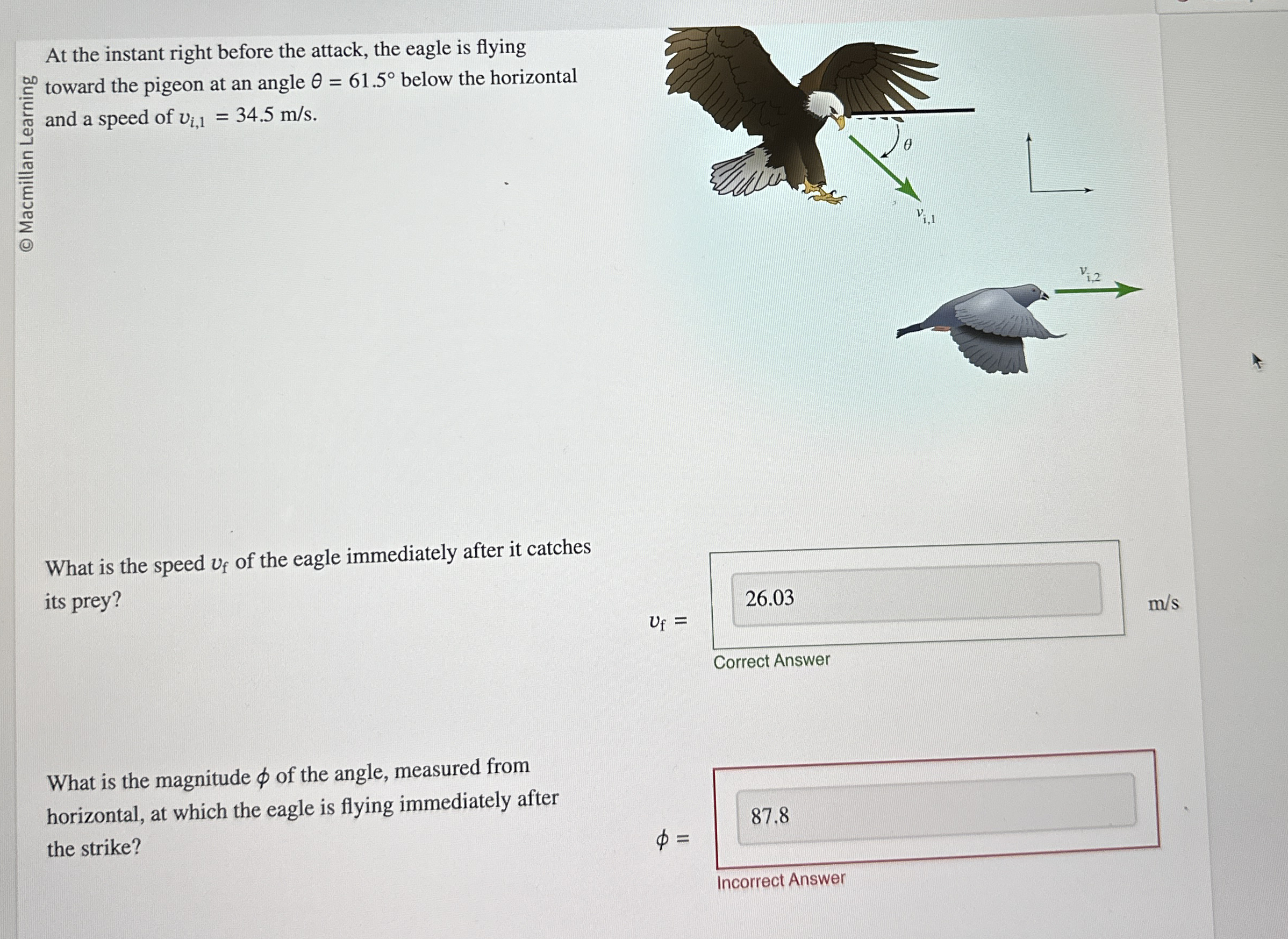 At the instant right before the attack, the eagle