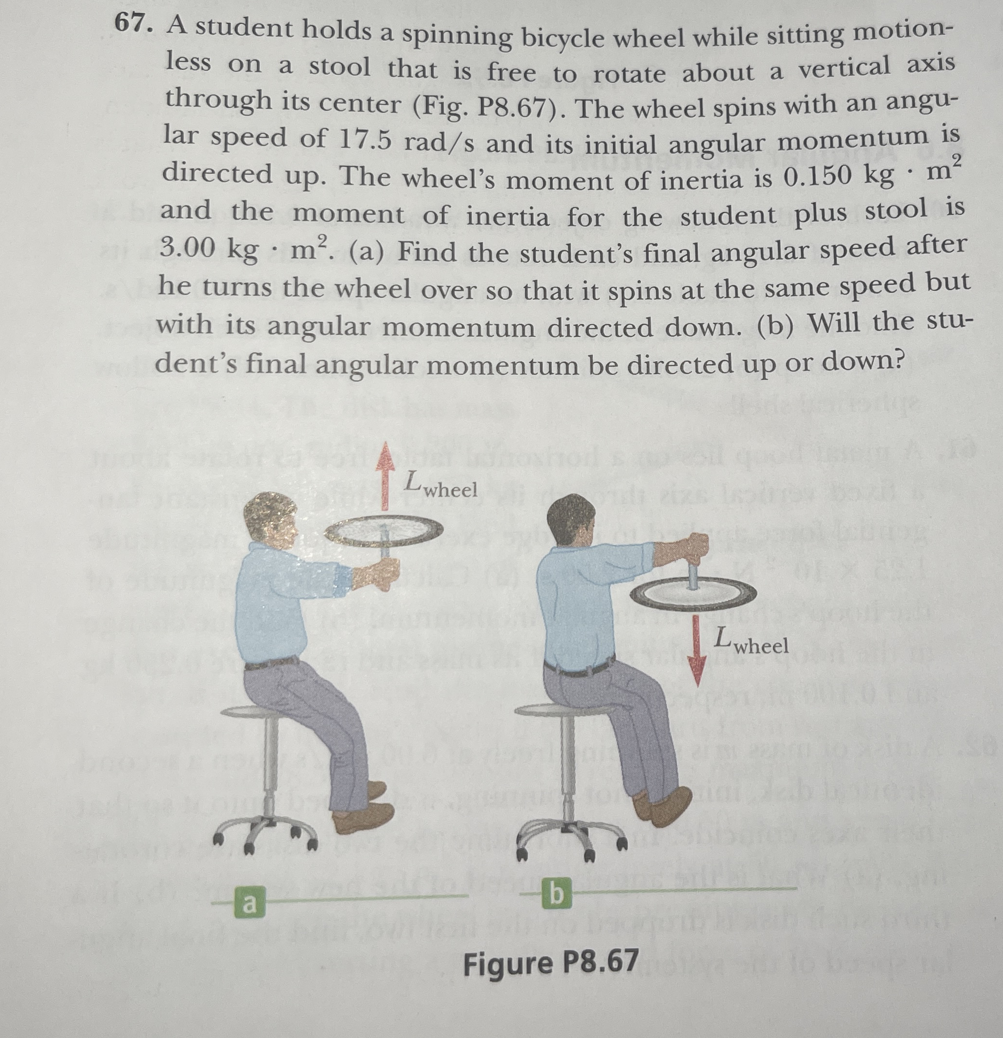 A student holds a spinning bicycle wheel while