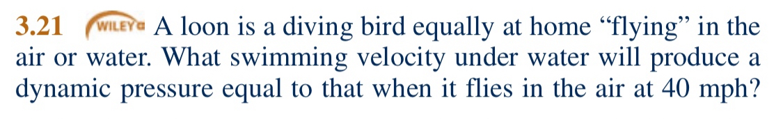 3 . 2 1 WEE A loon is a diving bird equally at