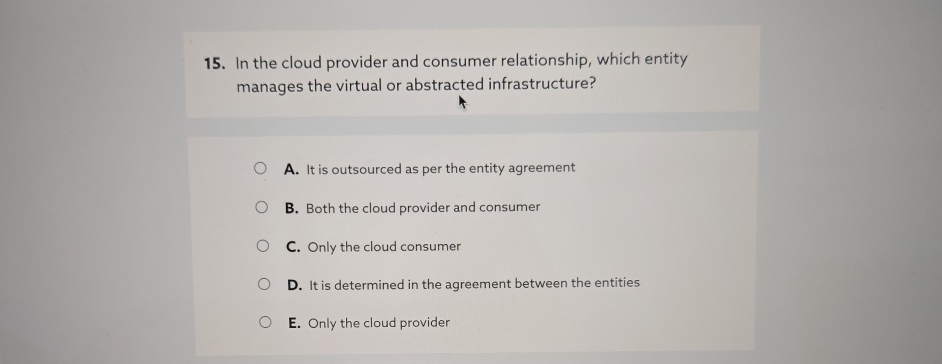 In the cloud provider and consumer relationship,