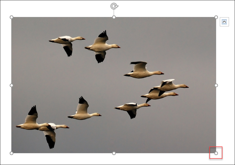 What is the highlighted area shown in the image