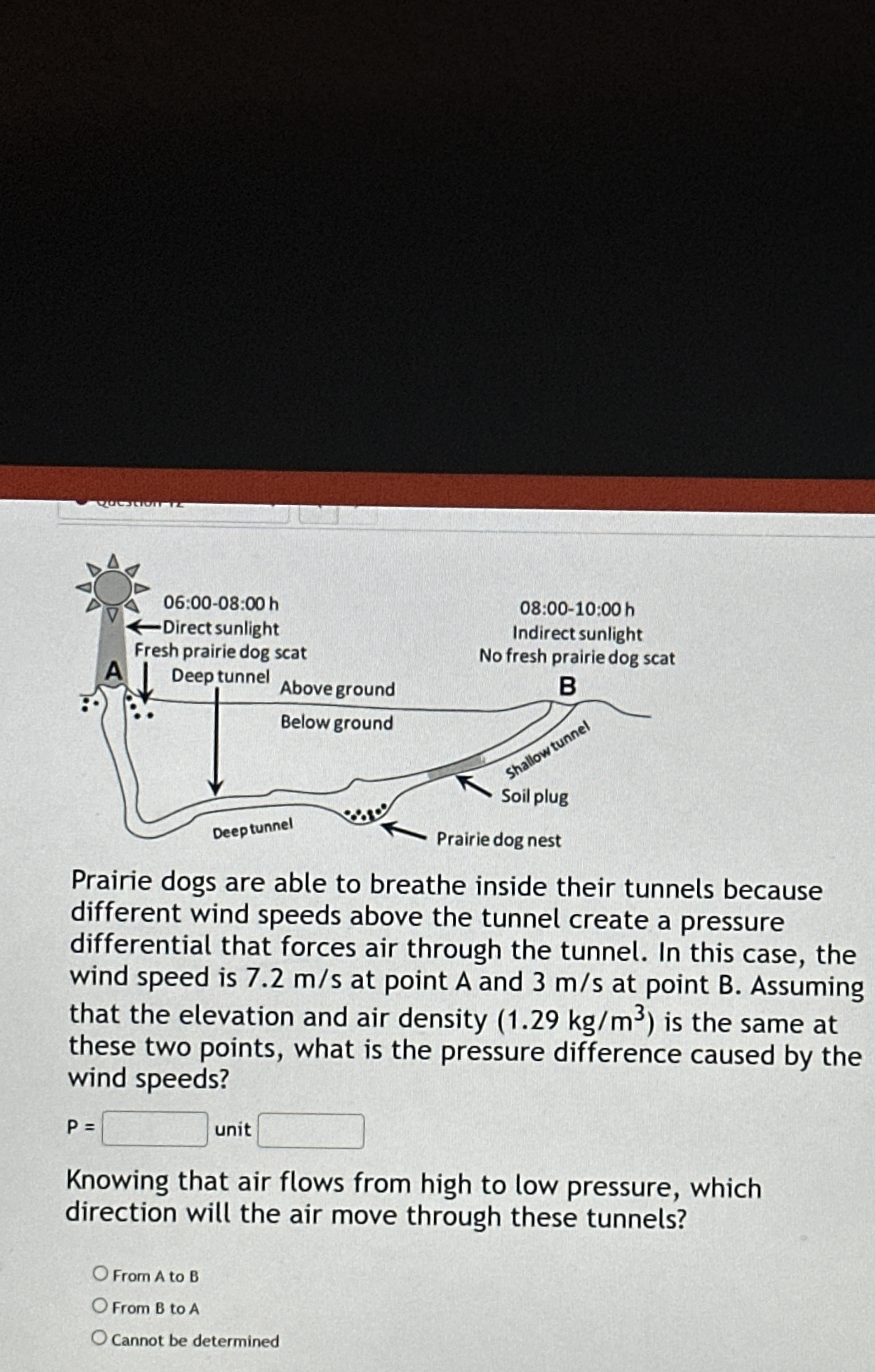 Prairie dogs are able to breathe inside their