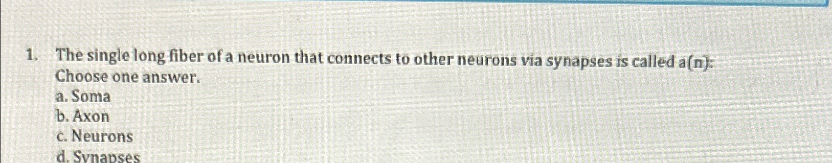 The single long fiber of a neuron that connects