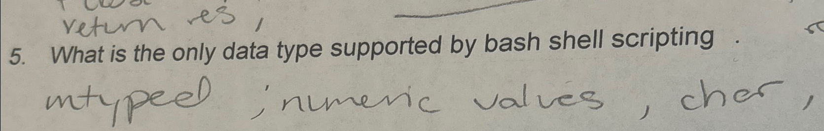 What is the only data type supported by bash