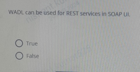 WADL can be used for REST services in SOAP UI .