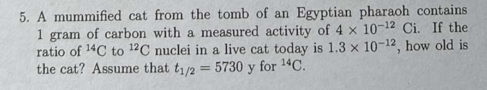 A mummified cat from the tomb of an Egyptian