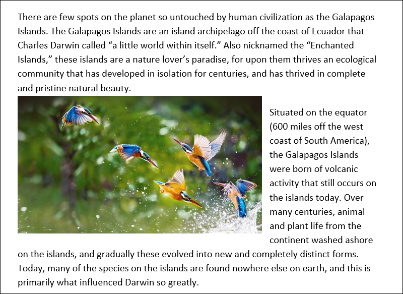 Which text - wrapping option has been applied to