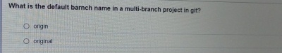 What is the default barnch name in a multi -