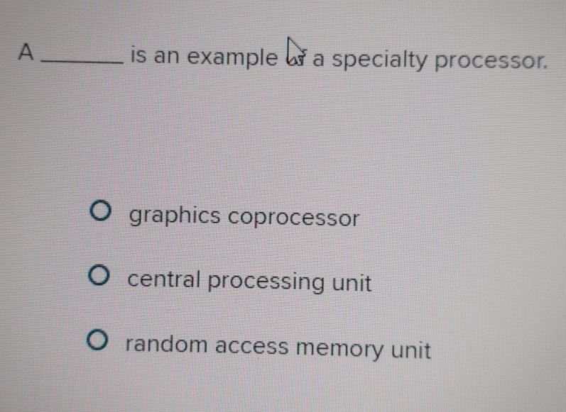 what is an example as a specialty processor:
