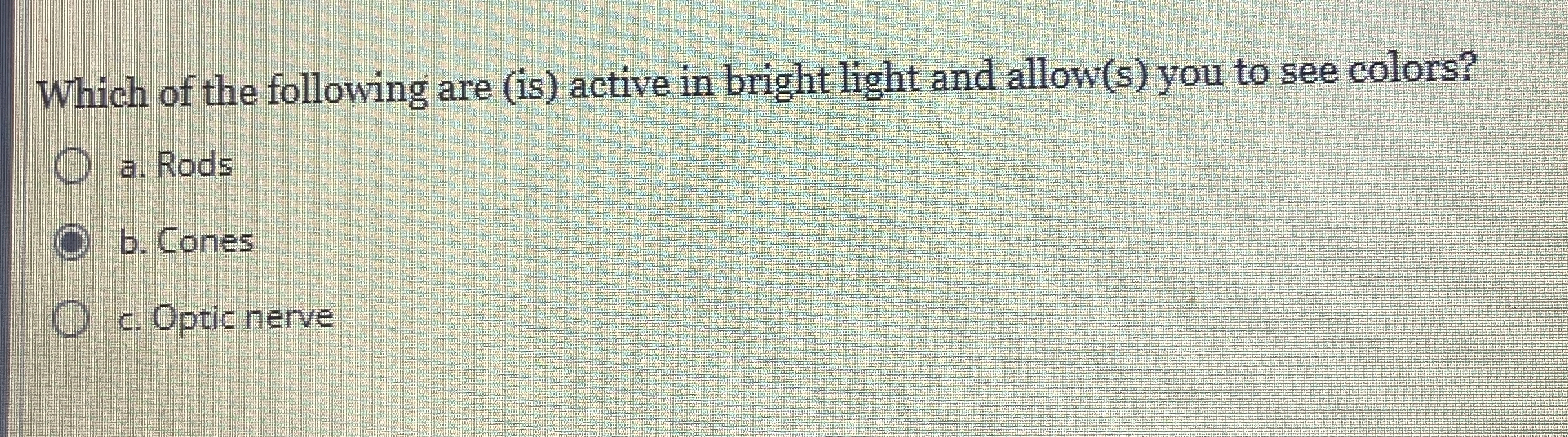 Which of the following are ( is ) active in