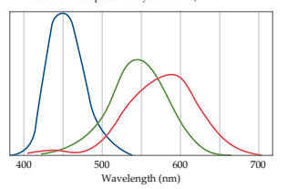 The human retina has three types of receptor
