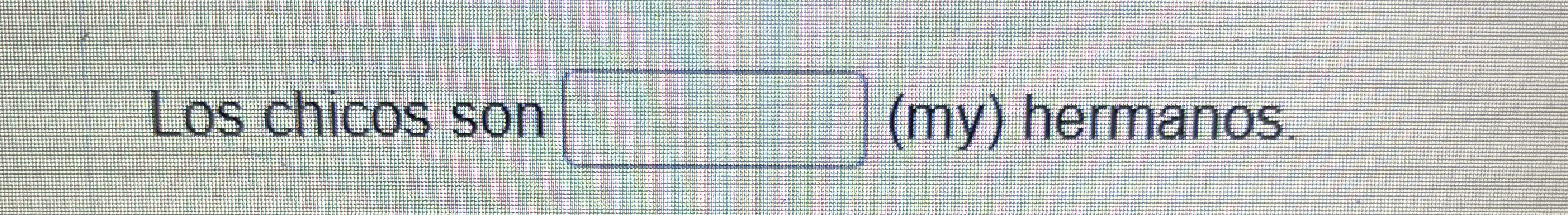 Los chicos son ( my ) hermanos.