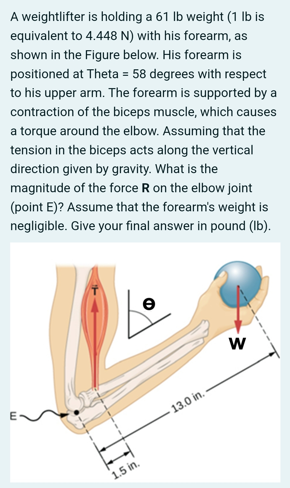 A weightlifter is holding a 6 1 lb weight is