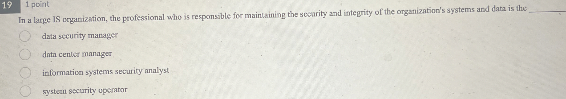 1 9 point In a large IS organization, the