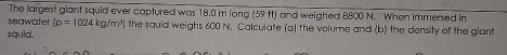 The laigest giant squid ever captured was 1 8 . 0