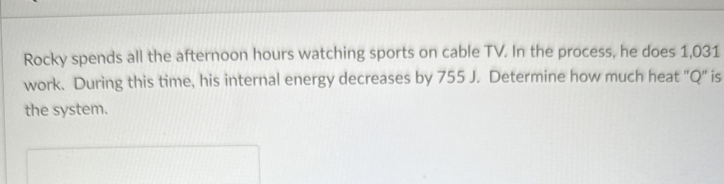 Rocky spends all the afternoon hours watching