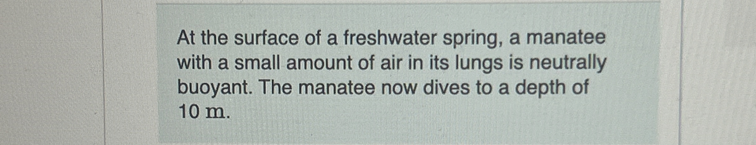 At the surface of a freshwater spring, a manatee
