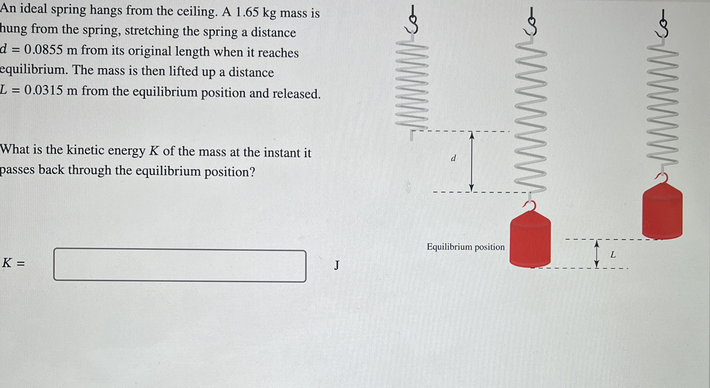 An ideal spring hangs from the ceiling. A 1 . 6 5