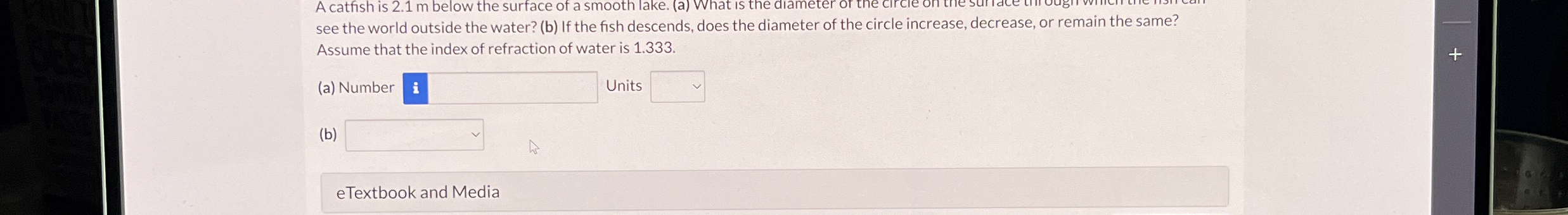 see the world outside the water? ( b ) If the
