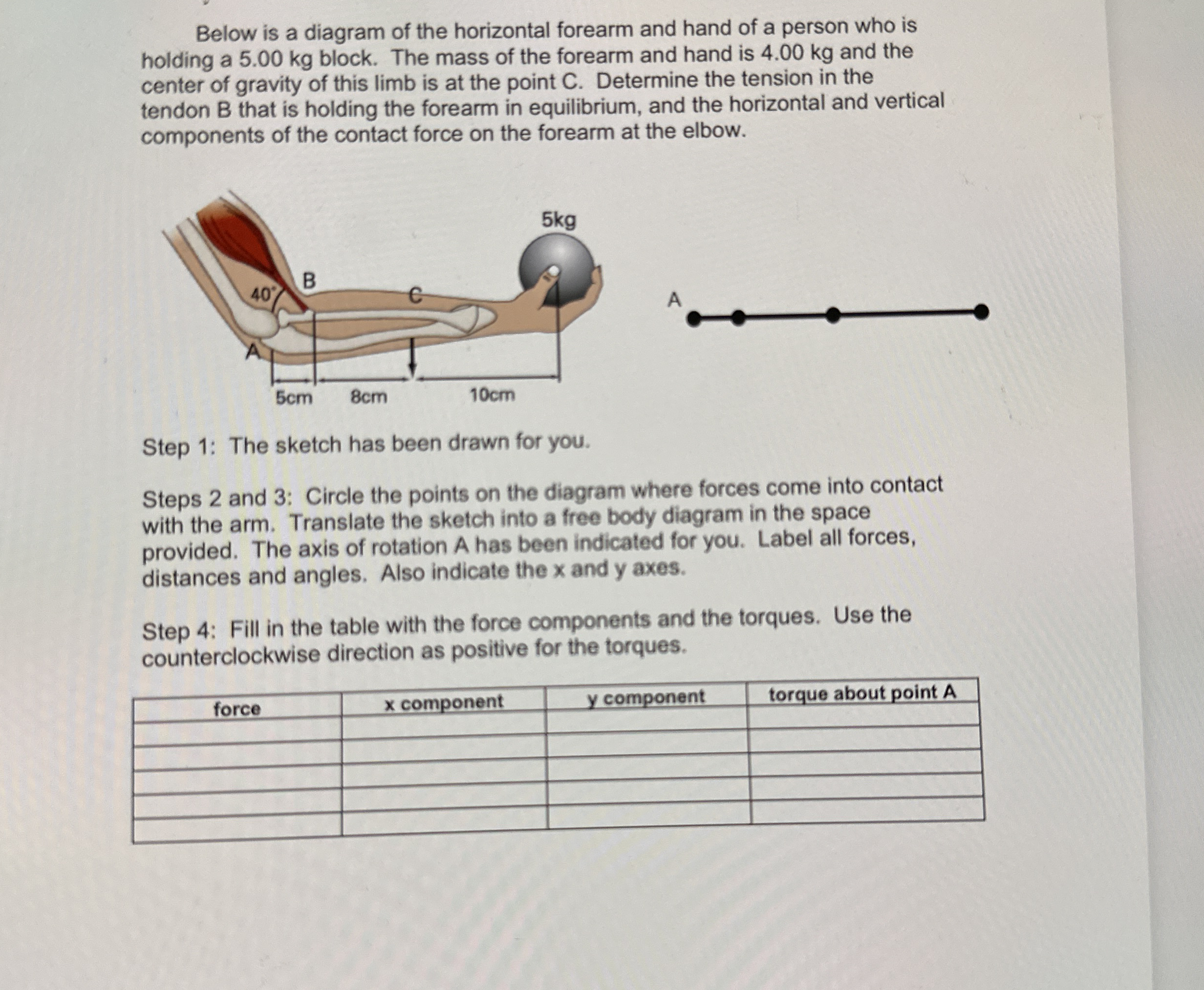 Below is a diagram of the horizontal forearm and