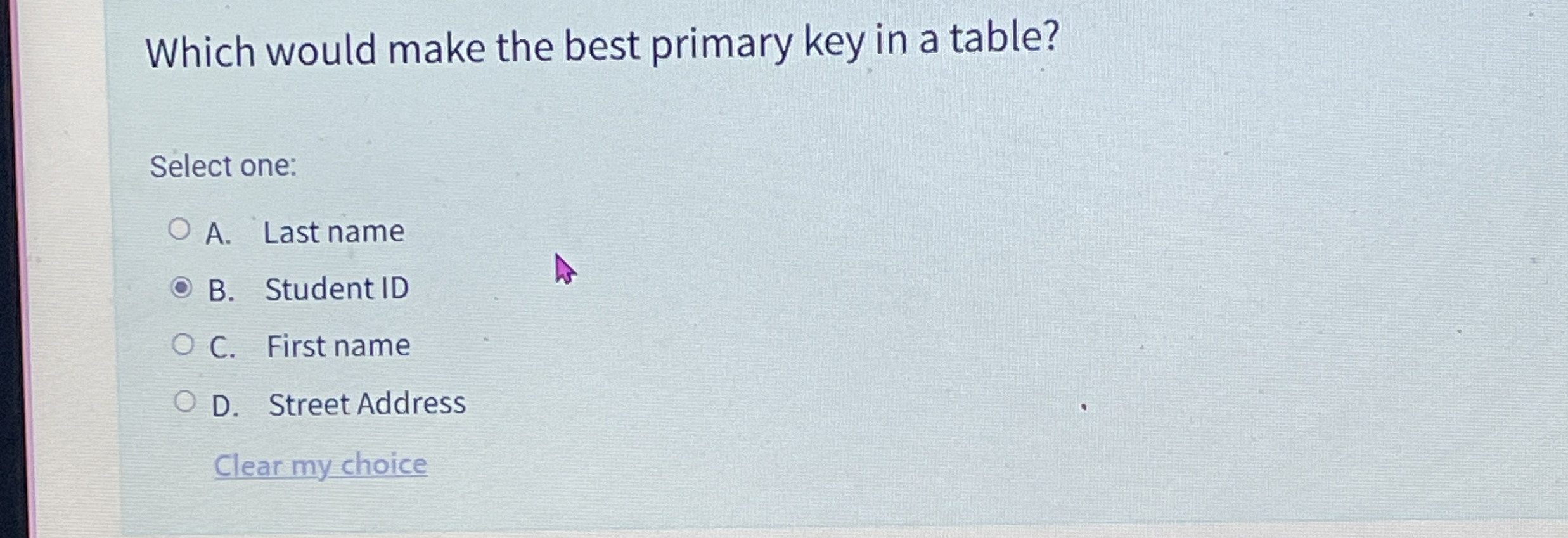 Which would make the best primary key in a table?