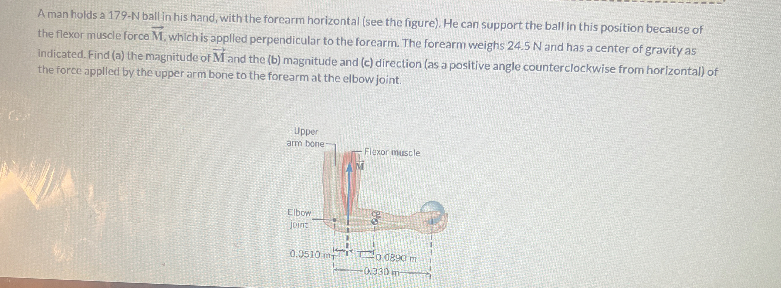 A man holds a 1 7 9 - N ball in his hand, with