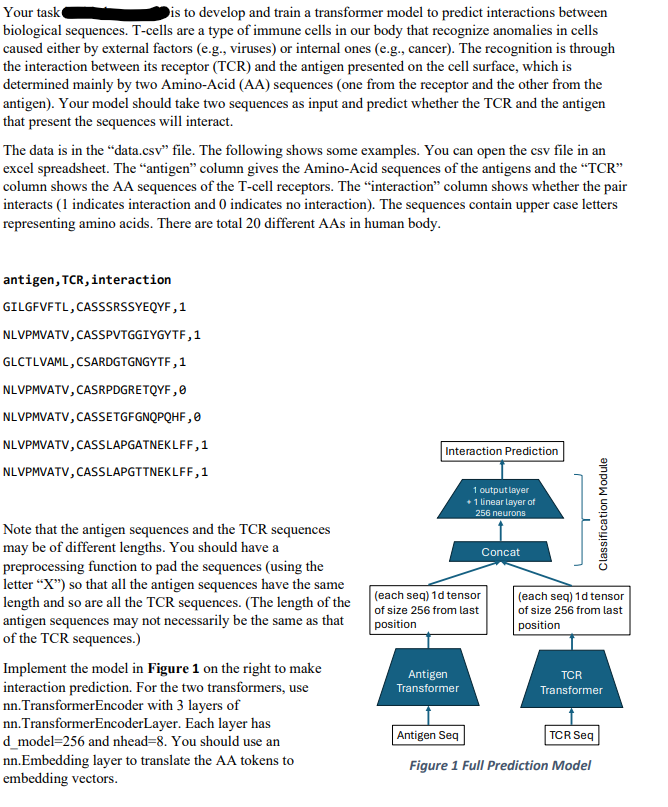 o develop and train a transformer model to