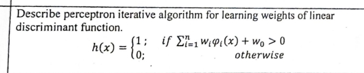 Describe perceptron iterative algorithm for