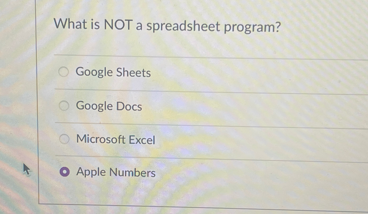 What is NOT a spreadsheet program? Google Sheets