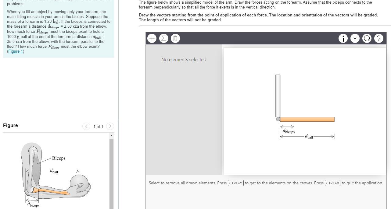 How to set up / draw free body diagram for this?