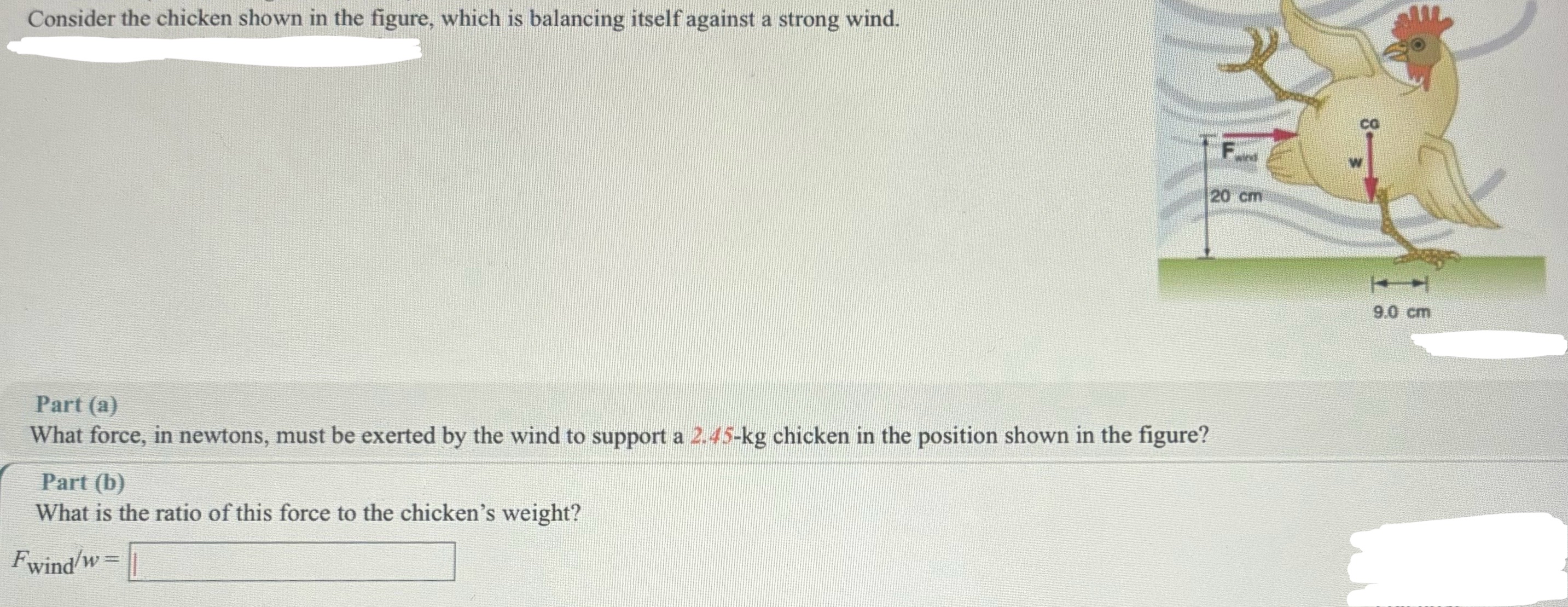 Consider the chicken shown in the figure, which