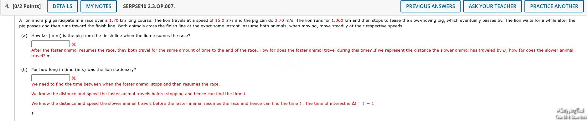 pig passes and then runs toward the finish line.