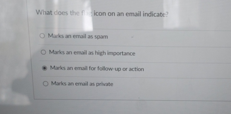 What does the flen on an icom indicate? Marks an