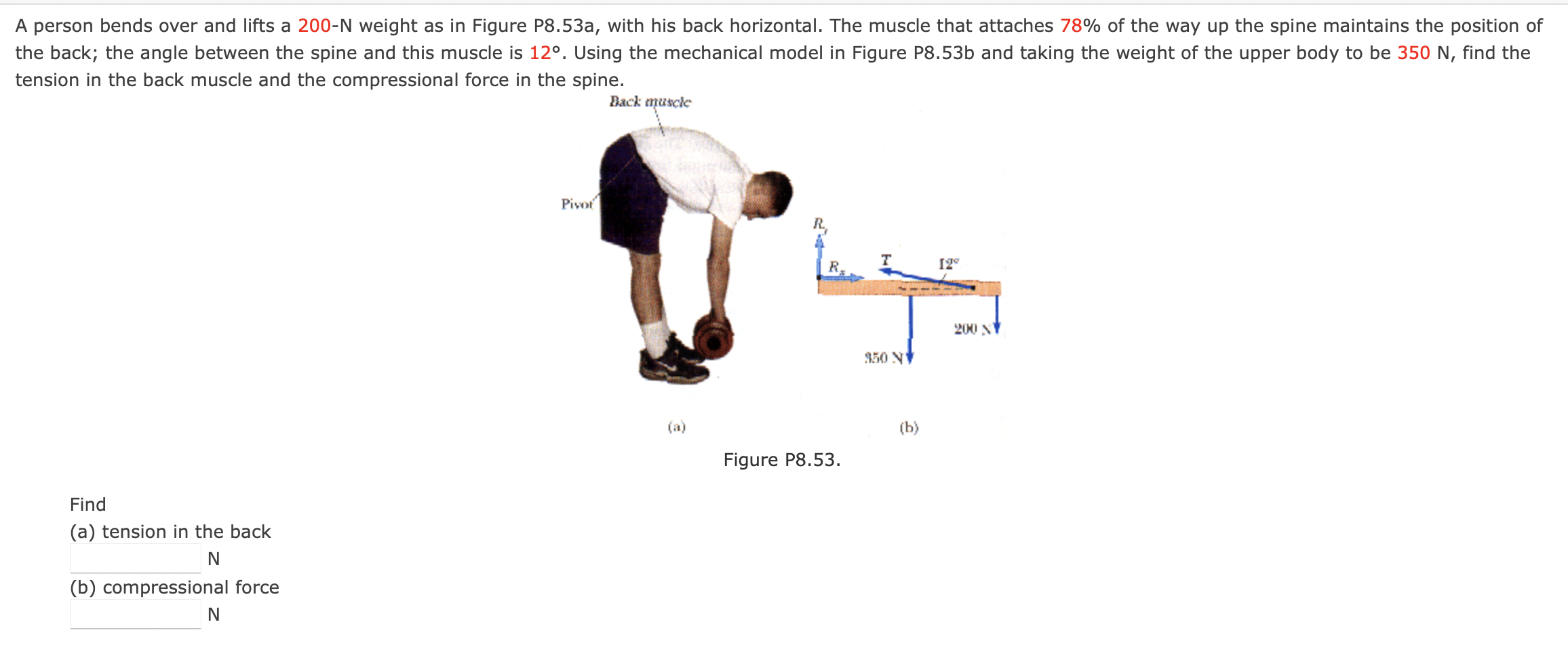A person bends over and lifts a 2 0 0 - N weight