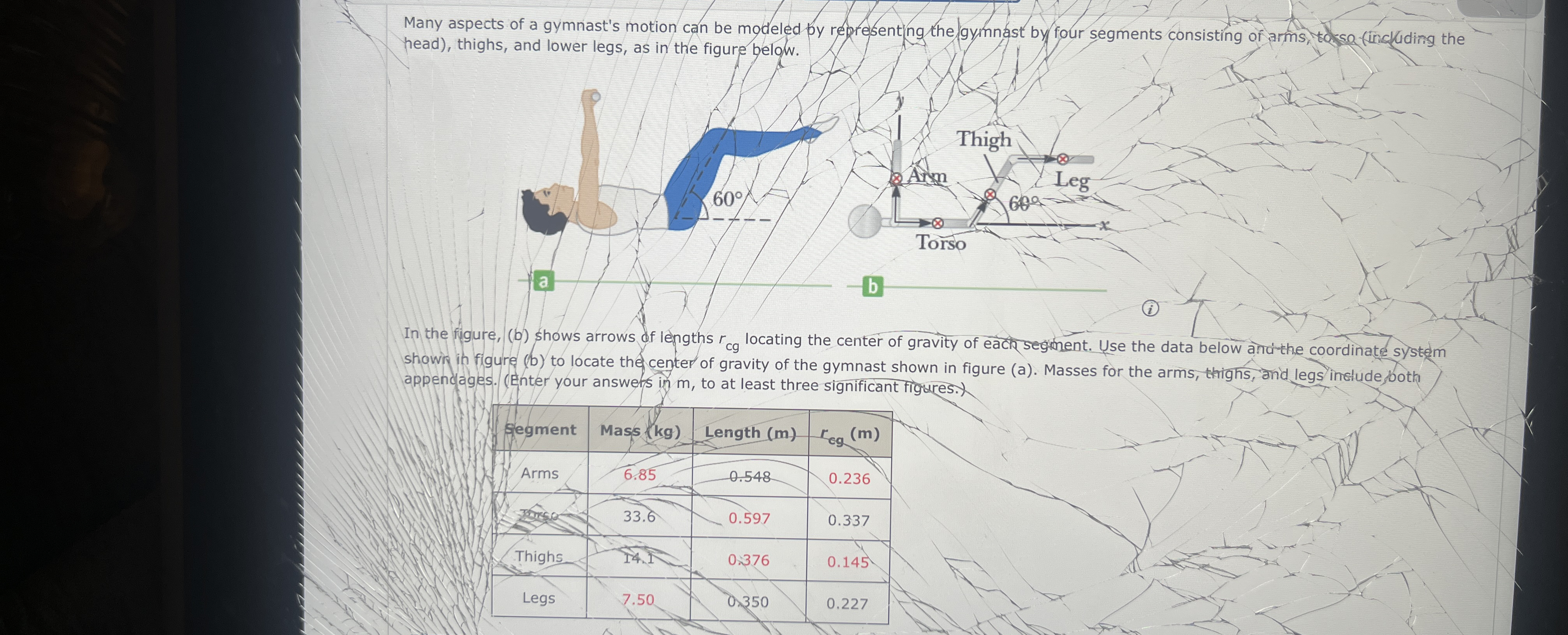 Many aspects of a gymnast's motion can be modeled