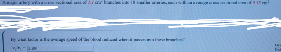 A major artery with a cross - sectional area of 1