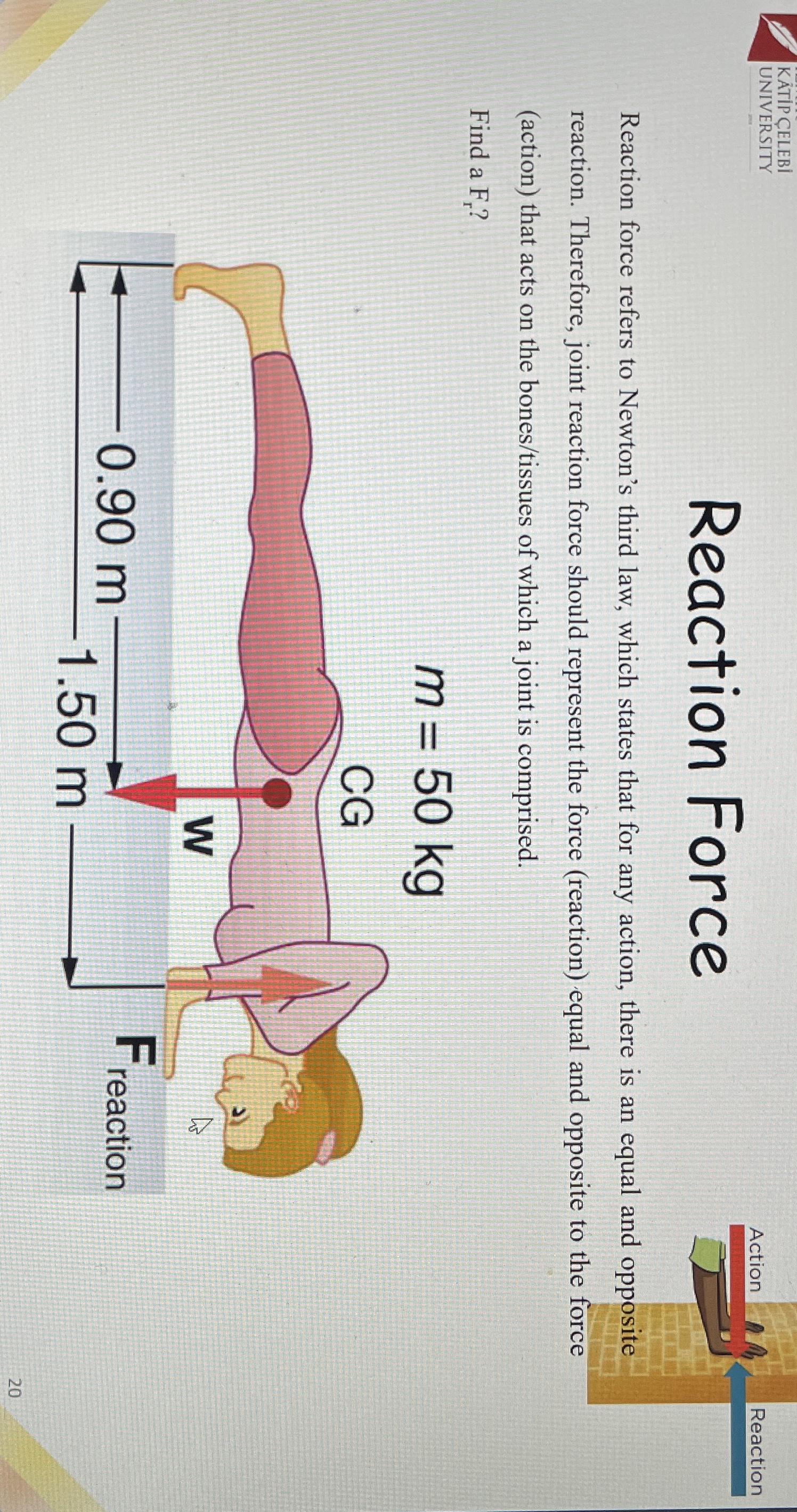 K TIP ELEBI UNIVERSITY Reaction Force Action