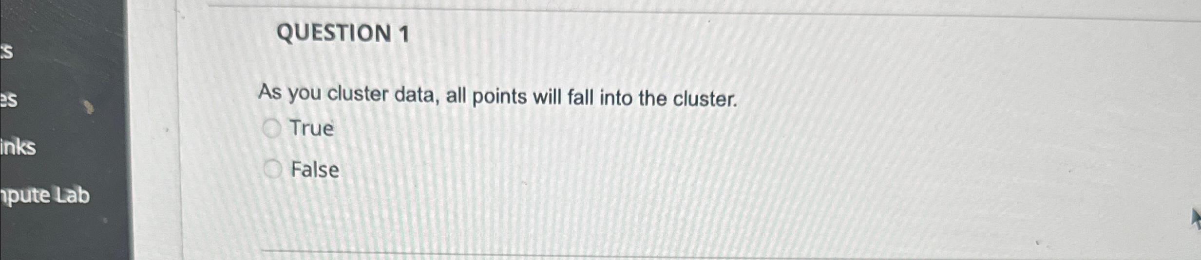 QUESTION 1 As you cluster data, all points will