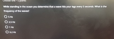 Chocise one 5 poins While standing in the ocean