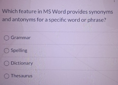 Which feature in MS Word provides synonyms and