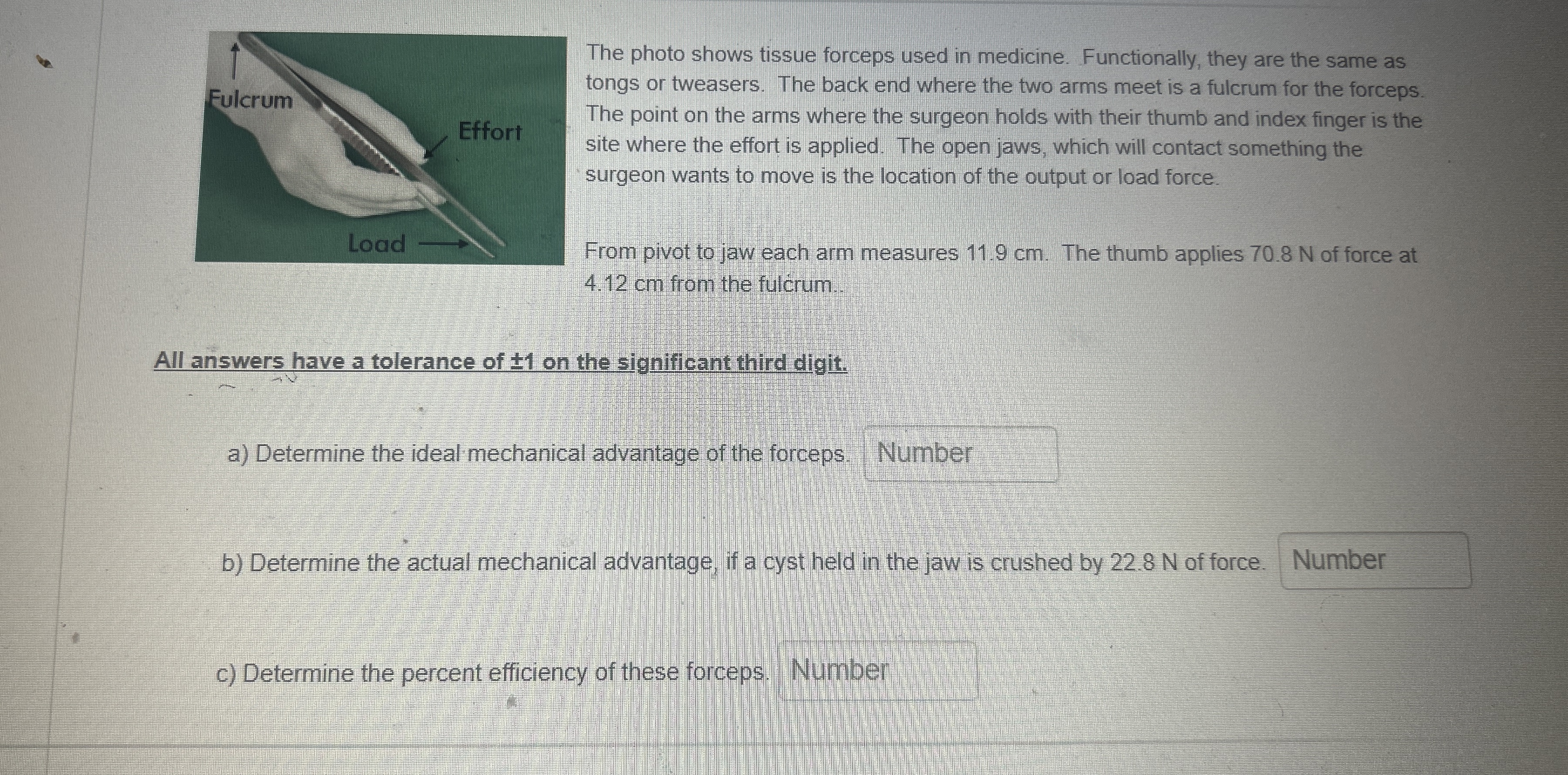 The photo shows tissue forceps used in medicine.