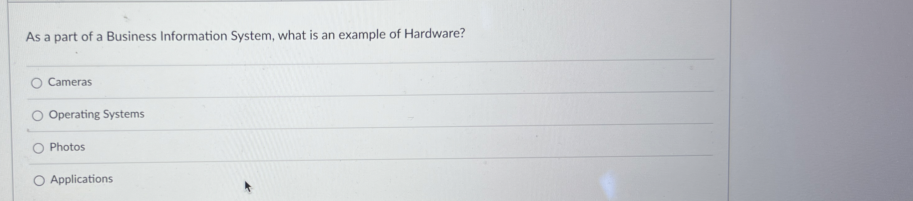 As a part of a Business Information System, what